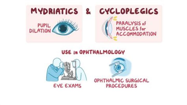 Are all mydriatics also cycloplegic?