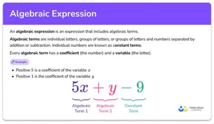 Are all polynomial expressions an algebraic expression.