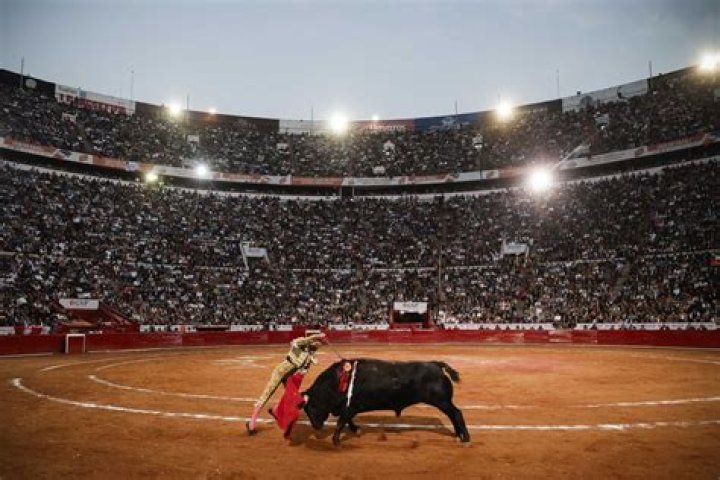 Are bullfights still held in spain?