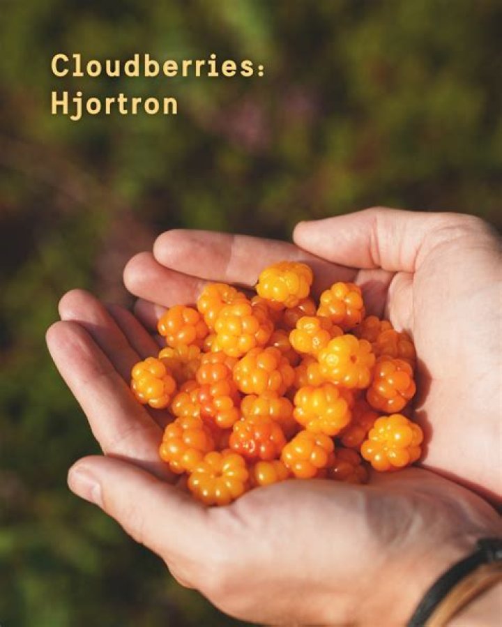Are cloudberries good for you?