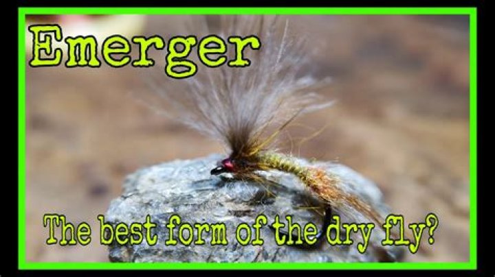Are emergers dry flies?