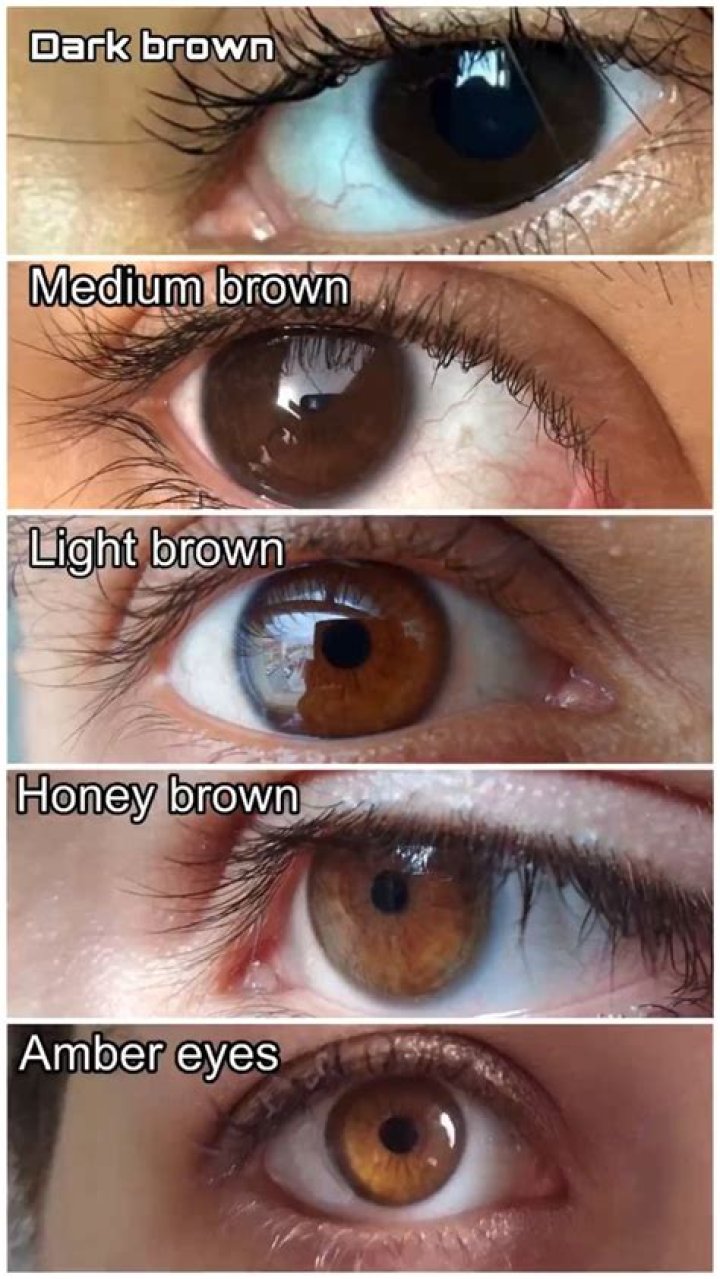 Are everybody's eyes brown?
