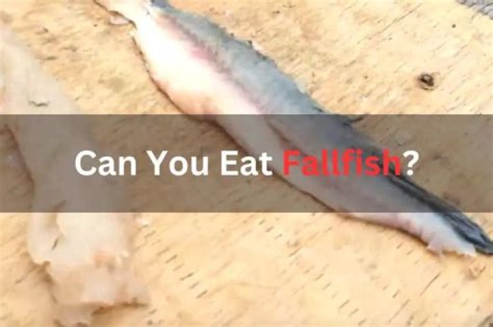 Are fallfish good to eat?