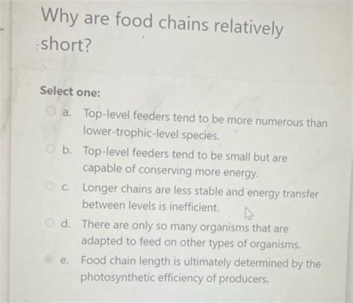 Are food chains relatively short?