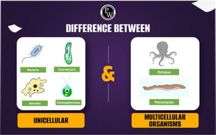 Are humans unicellular or multicellular?