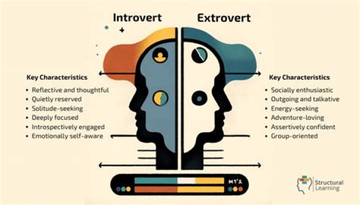 Are introvert or extrovert?