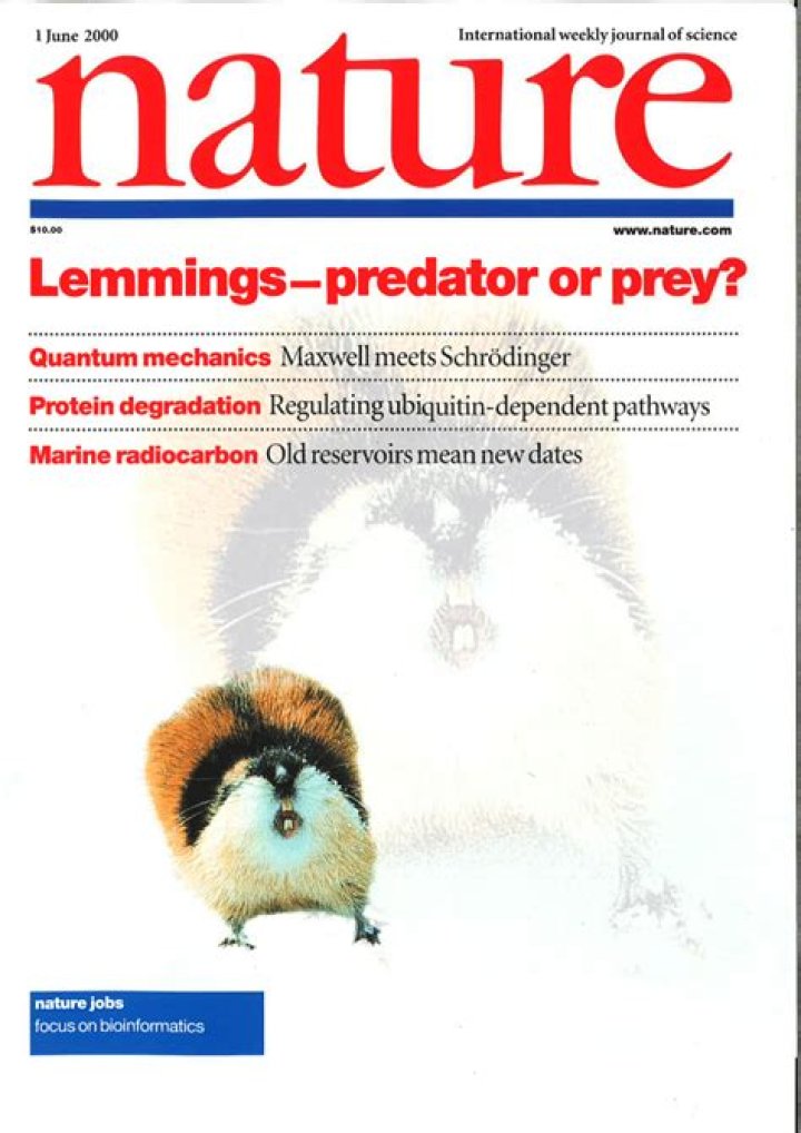 Are lemmings prey or predators?