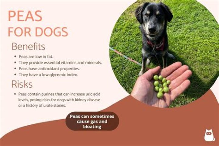 Are peas good for dogs?