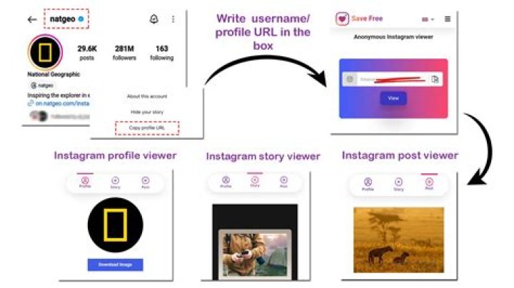 Are reports on instagram anonymous?