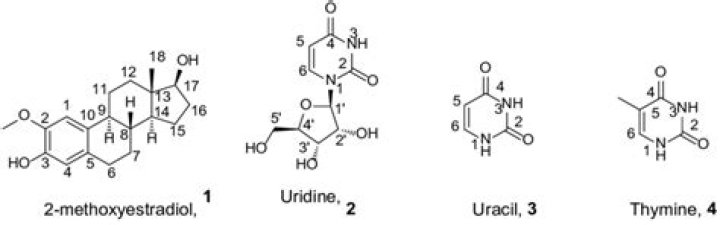 Are uridine and uracil?