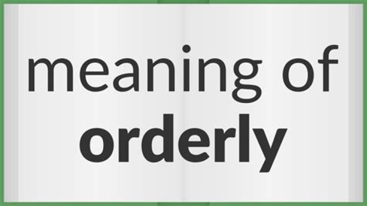 Are you orderly meaning?