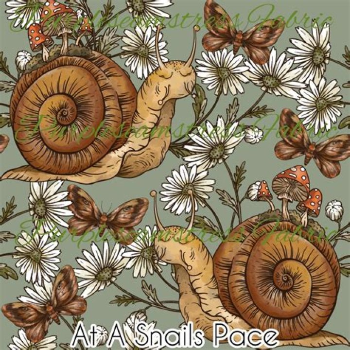 At a snail's pace meaning?