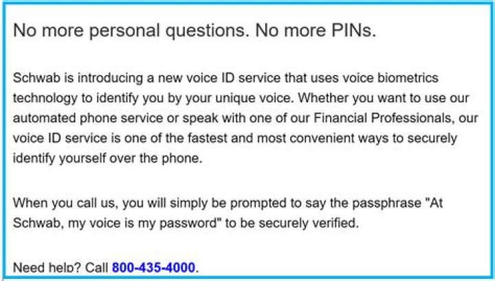At schwab my voice is my password?
