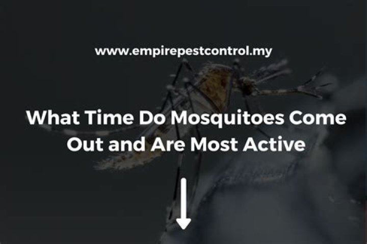 At what time do mosquitoes come out?