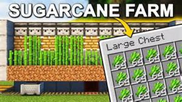 Automatic Sugar cane farm timing