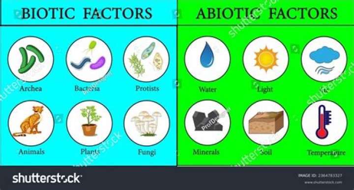 By biotic and abiotic factors?