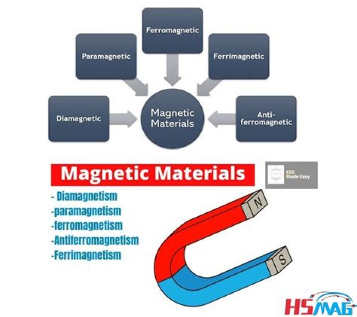 Can any material be magnetized?