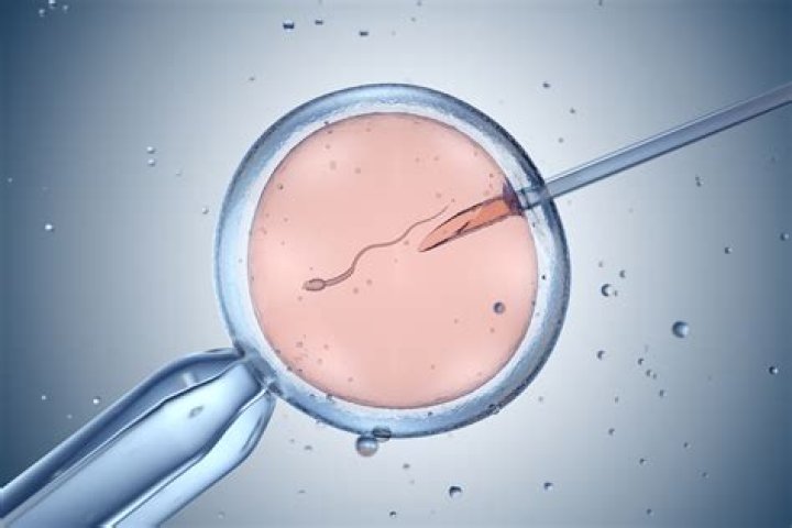 Can artificial insemination produce twins?
