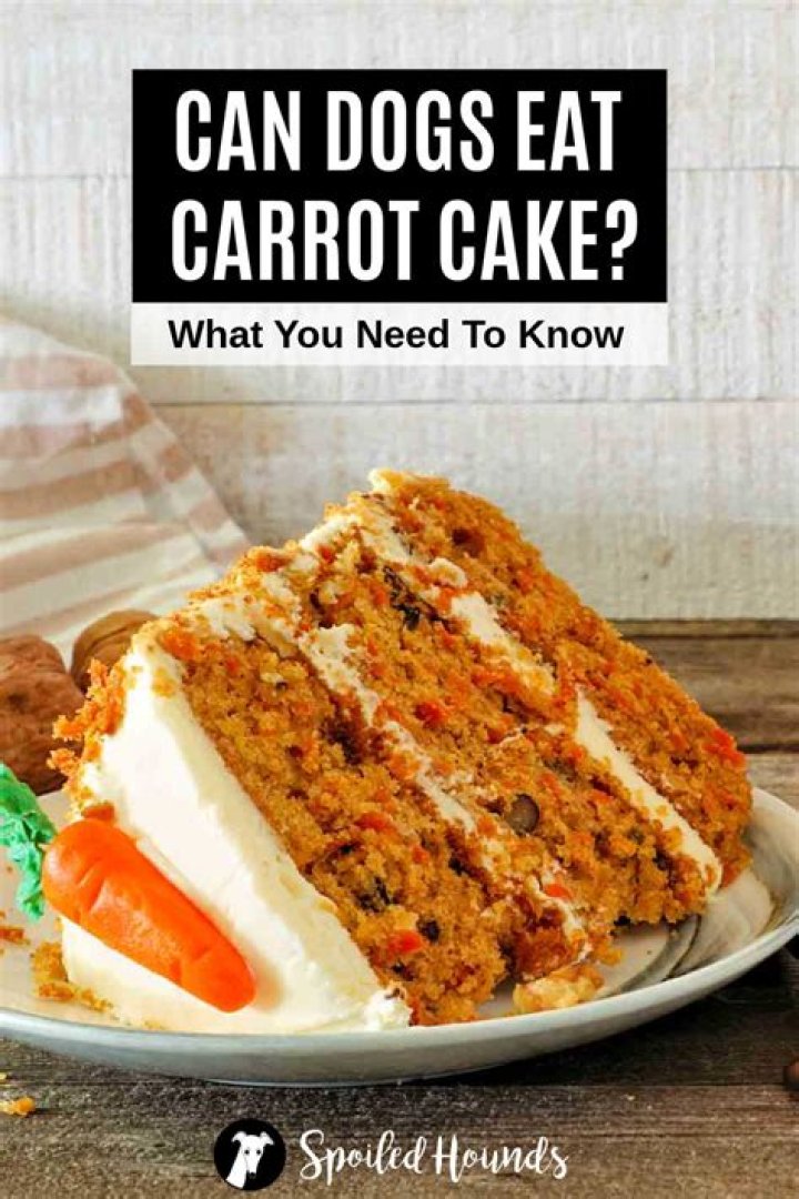 Can dogs eat carrot cake?