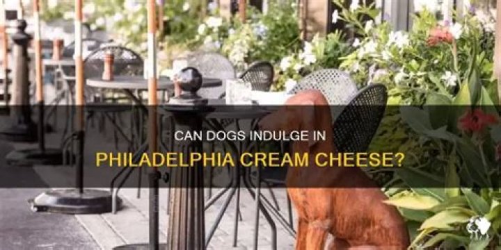 Can dogs have philadelphia?