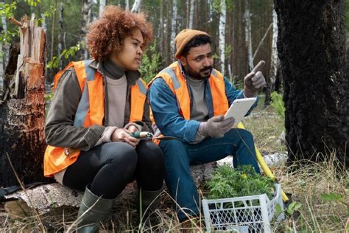 Can firebrats climb walls?