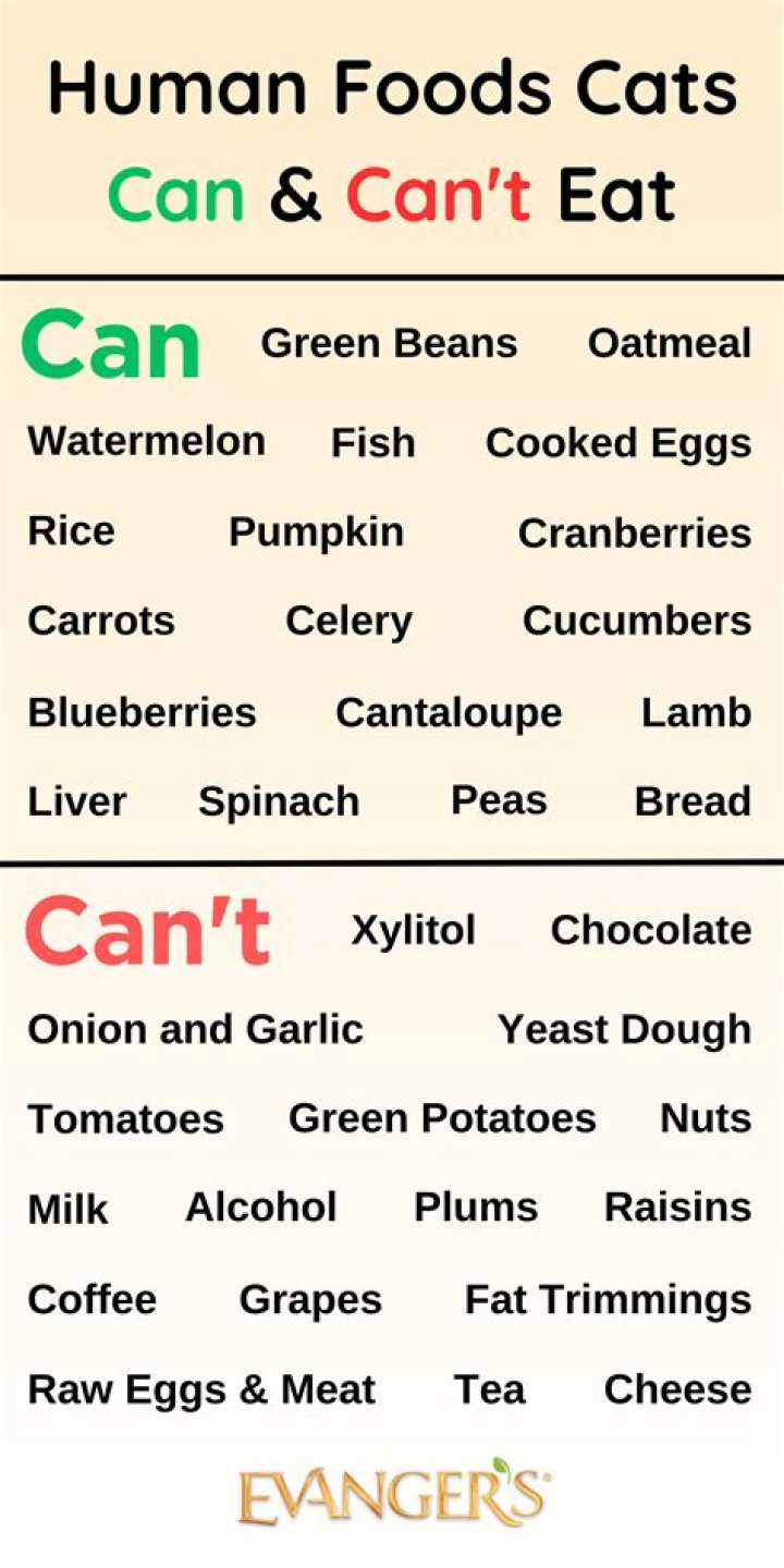 Can haise eat human food?