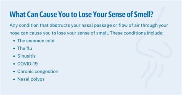 Can normal cold cause loss of smell?