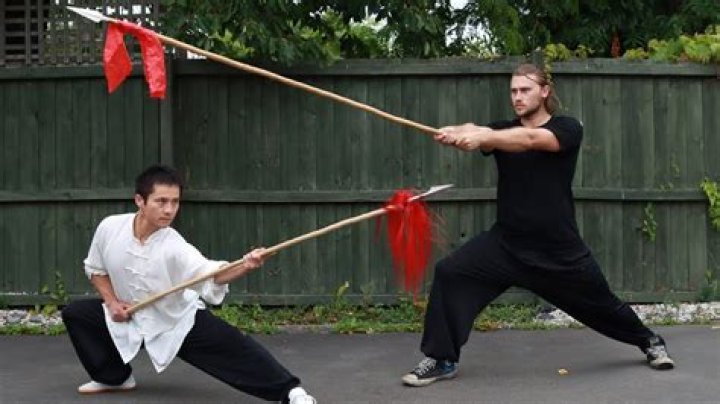 Can wushu be used to fight?