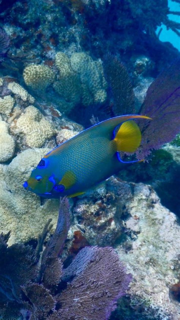 Can you fish at sombrero reef?