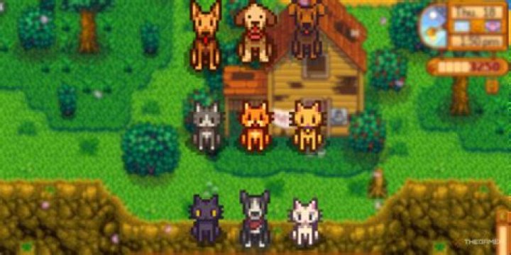 Can you get dogs or cats without the Pets expansion?