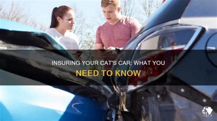 Can you insure a cat s vehicle?