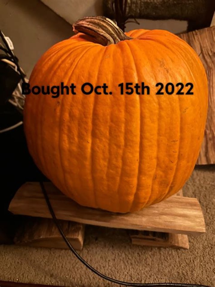 Can you preserve an uncarved pumpkin?