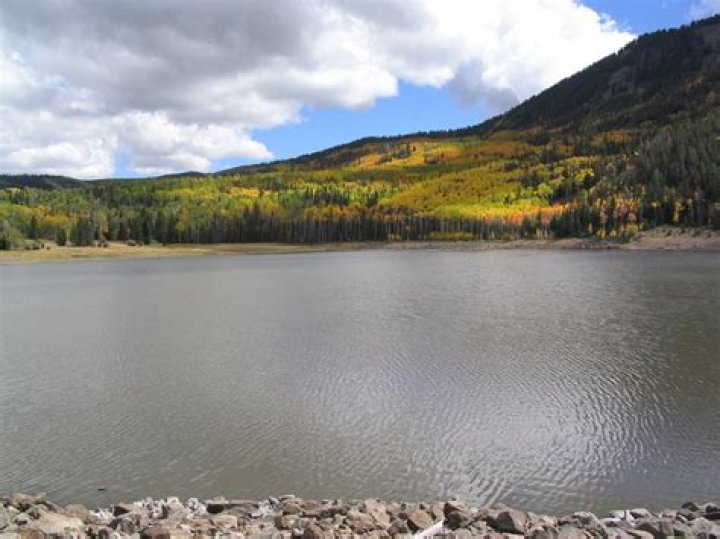 Can you swim in kenmare bay?
