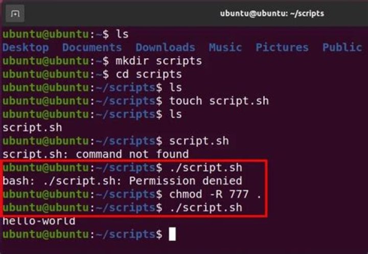 command does not work in script file, but works ok with shell command