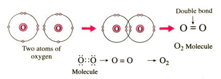 Could a molecule contain only one atom?