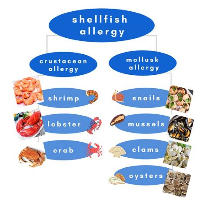Could i be allergic to shellfish?