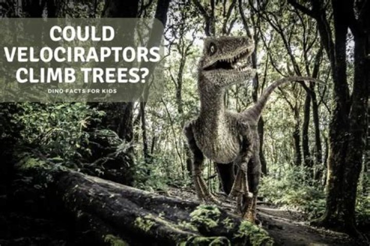 Could velociraptors climb trees?