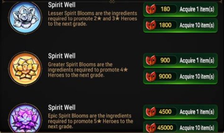 Destiny's Notorious VoG Spirit Bloom Chest