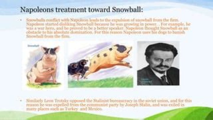 Did benjamin agree with napoleon or snowball?