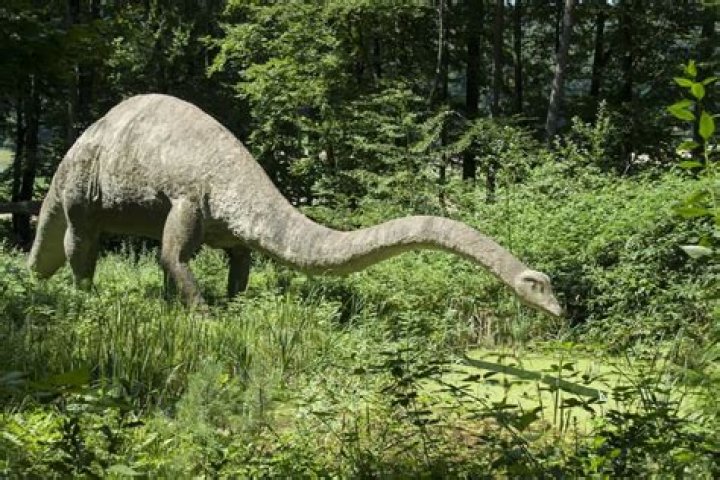 Did dinosaurs eat grass?