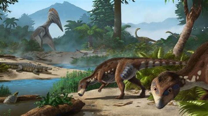 Did dinosaurs live in grasslands?