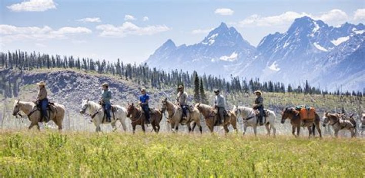 Did europe bring horses to america?