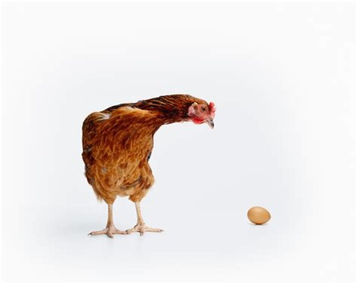 Did hen or egg came first?