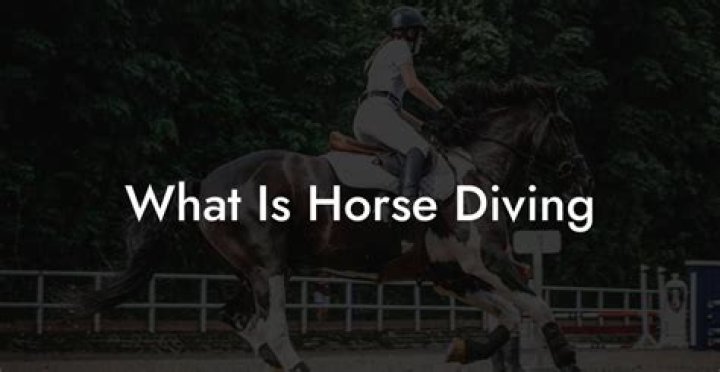 Did horses die in horse diving?