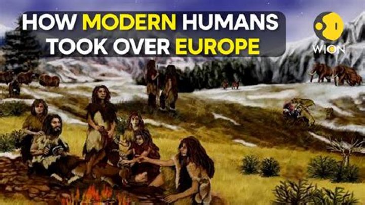 Did humans make cows?