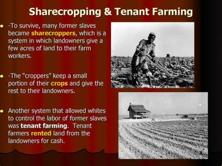 Did tenant farmers have slaves?