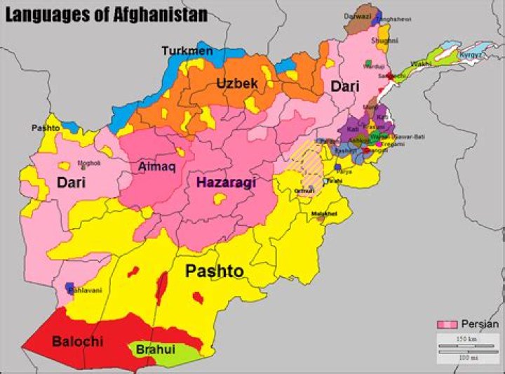 Do afghan speak urdu?