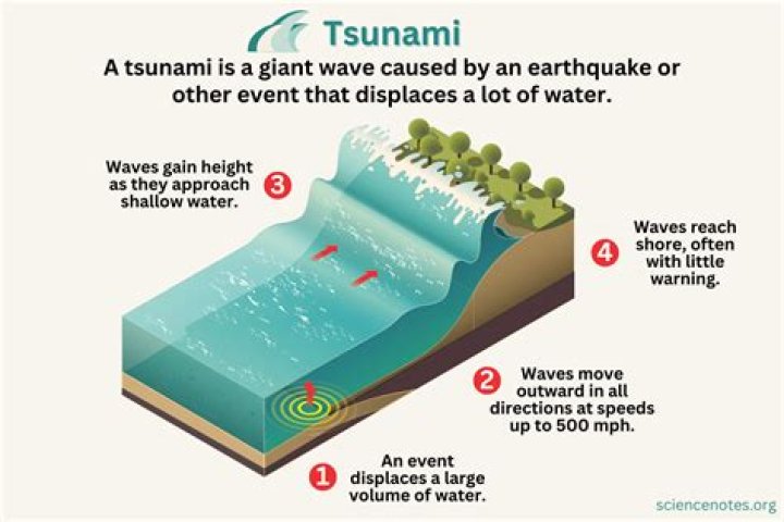 Do all undersea earthquakes trigger tsunami?