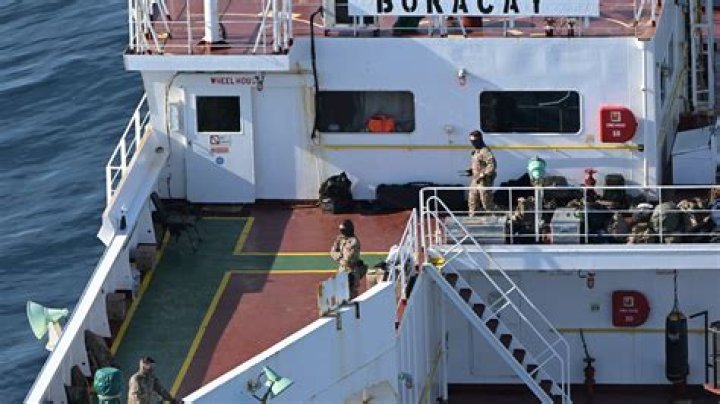 Do cats do well being boarded?