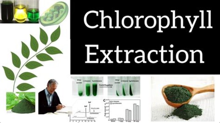 Do chlorophyll drops expire?